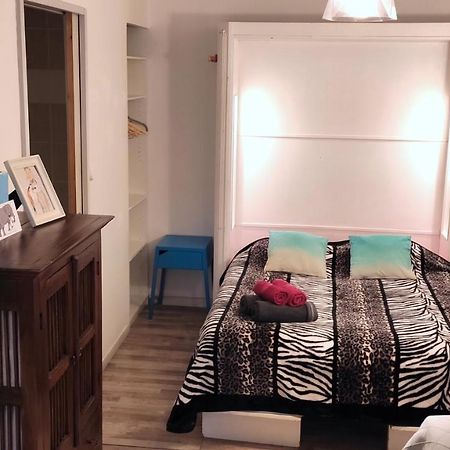 Grand Studio Cahors Centre Rdc Proche Gare Pont Valentre Apartment Екстериор снимка