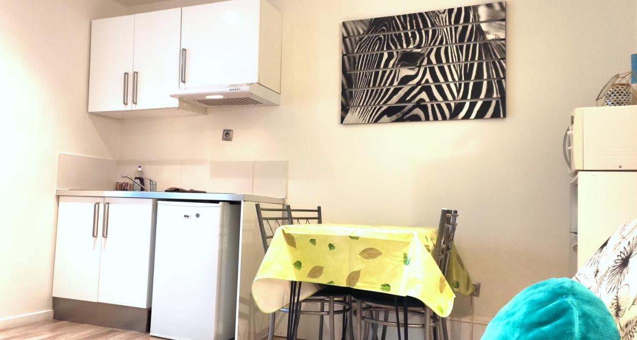 Grand Studio Cahors Centre Rdc Proche Gare Pont Valentre Apartment Екстериор снимка