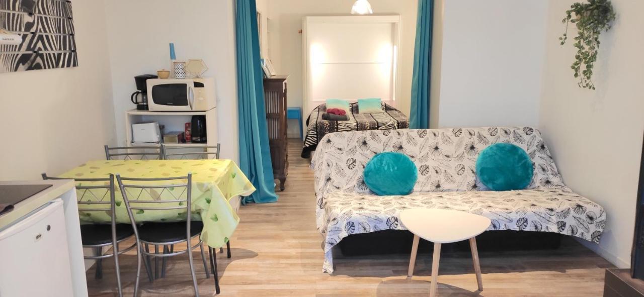 Grand Studio Cahors Centre Rdc Proche Gare Pont Valentre Apartment Екстериор снимка